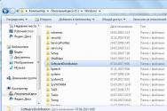SoftwareDistribution: Ce este acest folder și cum îl pot șterge?