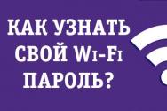 Parola Yak diznatisya de la WiFi